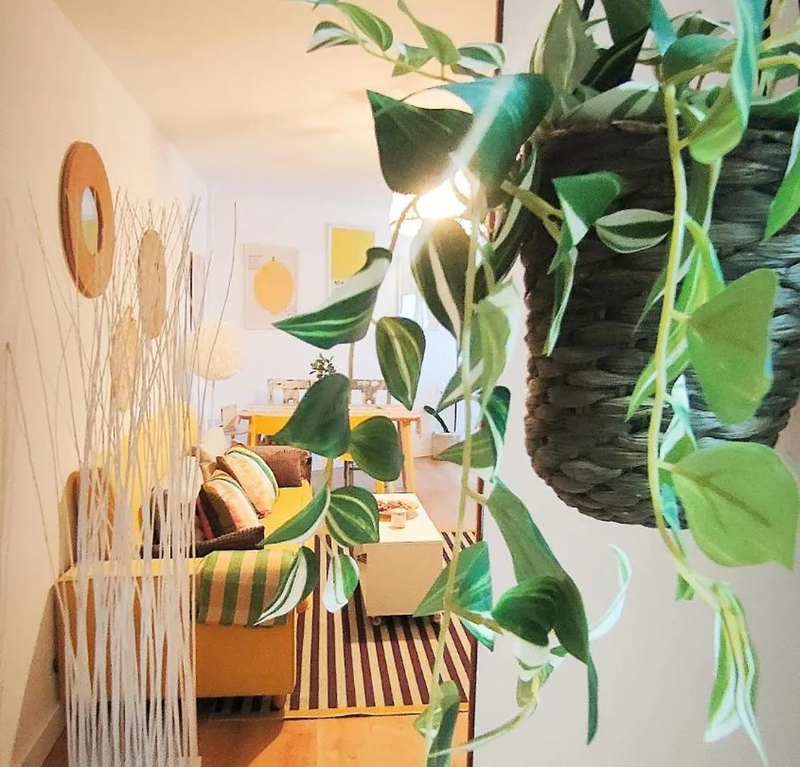 Apartamento Con Vistas Al Mar Cadiz